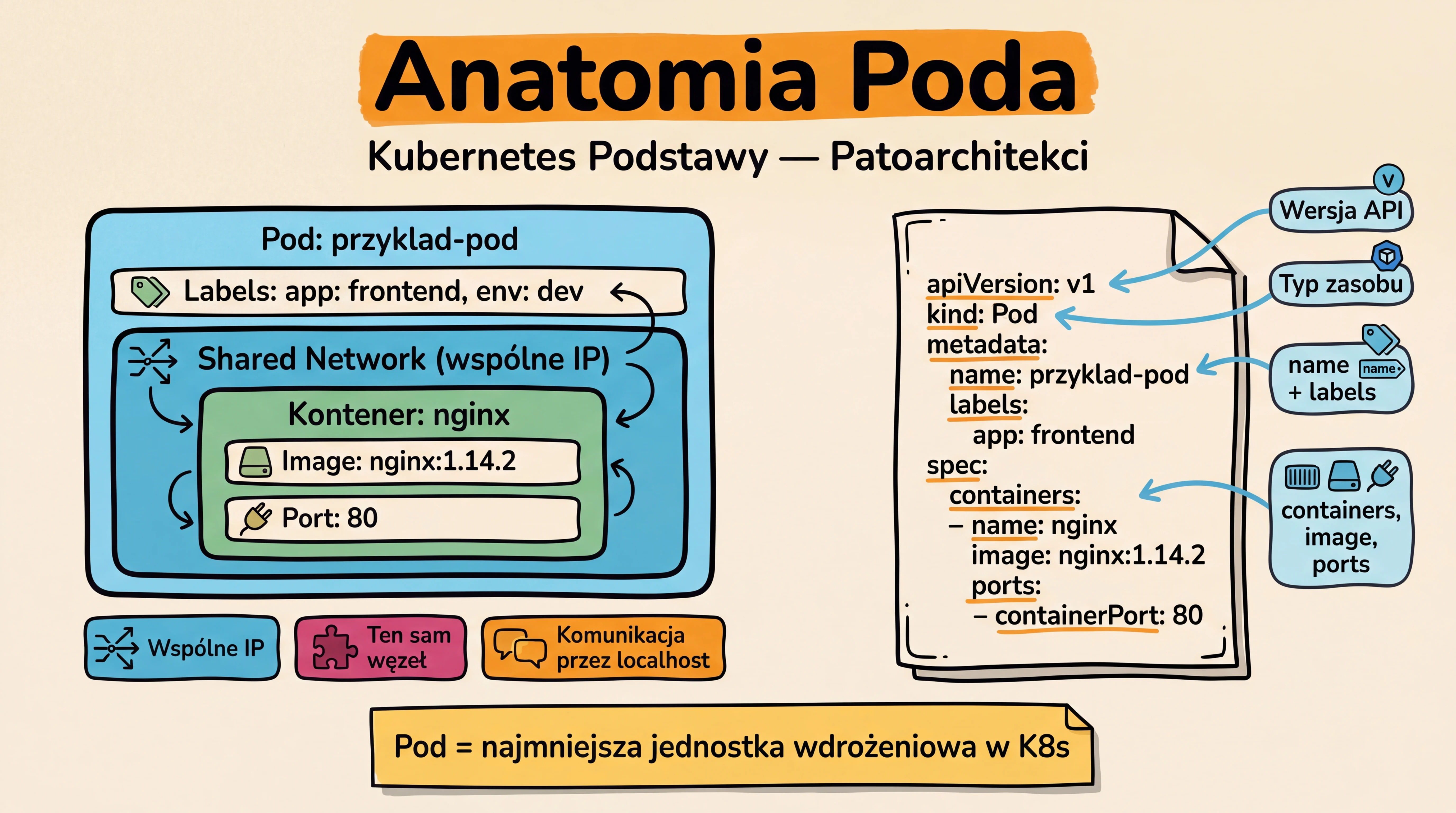 Teoria — Anatomia Poda